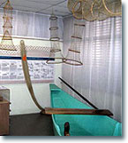 Museo della pesca - Quarta Sala 